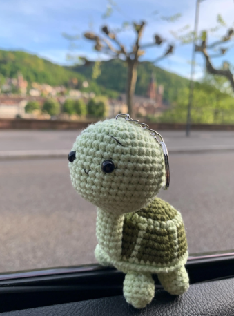 Schildkröte Schlüsselanhänger | Personalisierbar